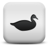 Captcha image 1901
