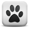 Captcha image 3889